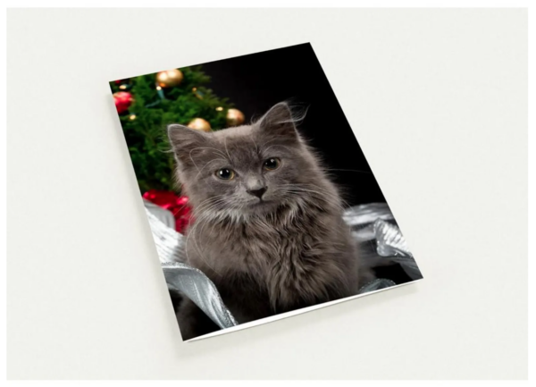 Holiday - Pack of 10 Greeting Cards (US & CA)