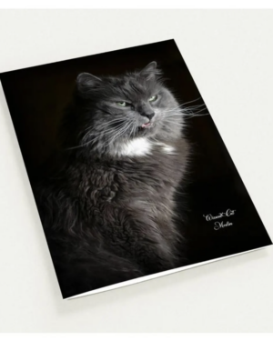 Fierce - Pack of 10 Greeting Cards (US & CA)