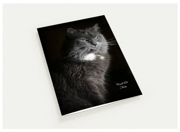 Fierce - Pack of 10 Greeting Cards (US & CA)