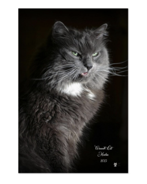 Fierce - Premium Semi-Glossy Paper Poster -16x24″