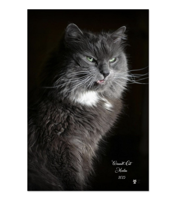 Fierce - Premium Semi-Glossy Paper Poster -16x24″